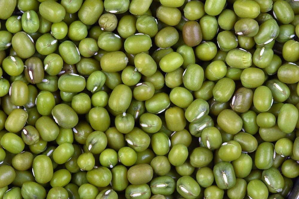 పెసలు  500g (quality)