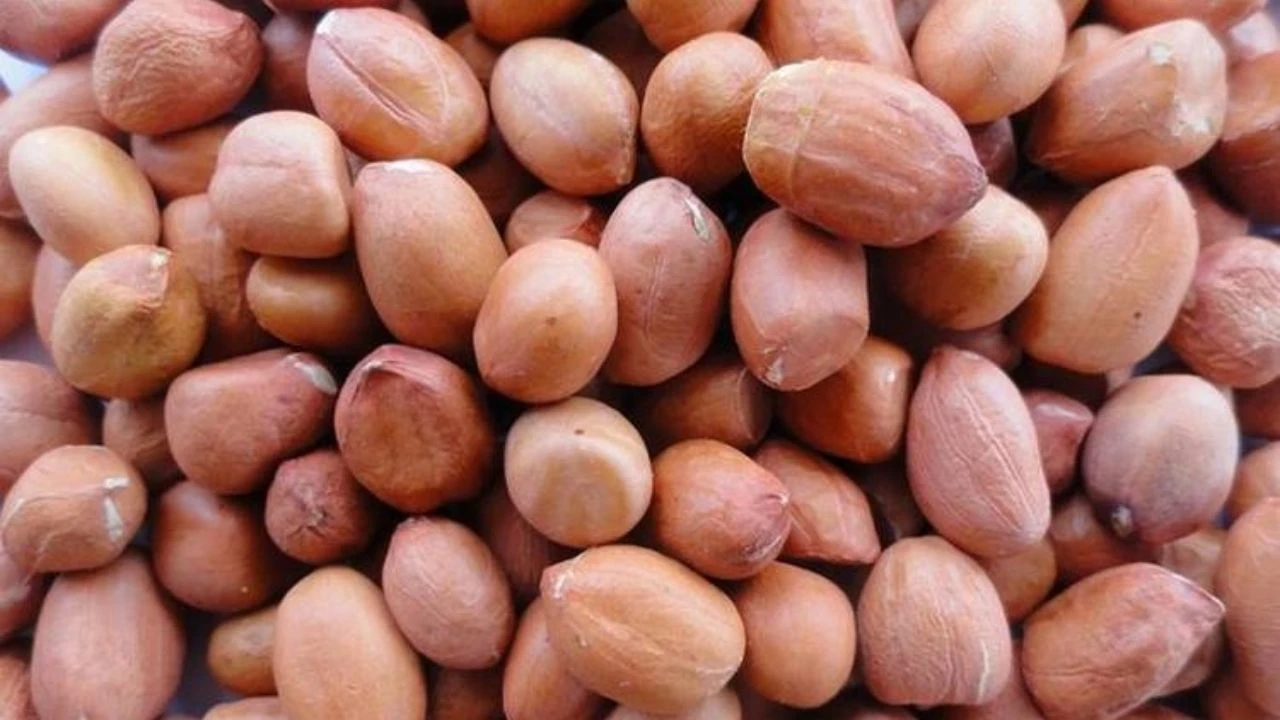 పల్లిలు 500g (quality)